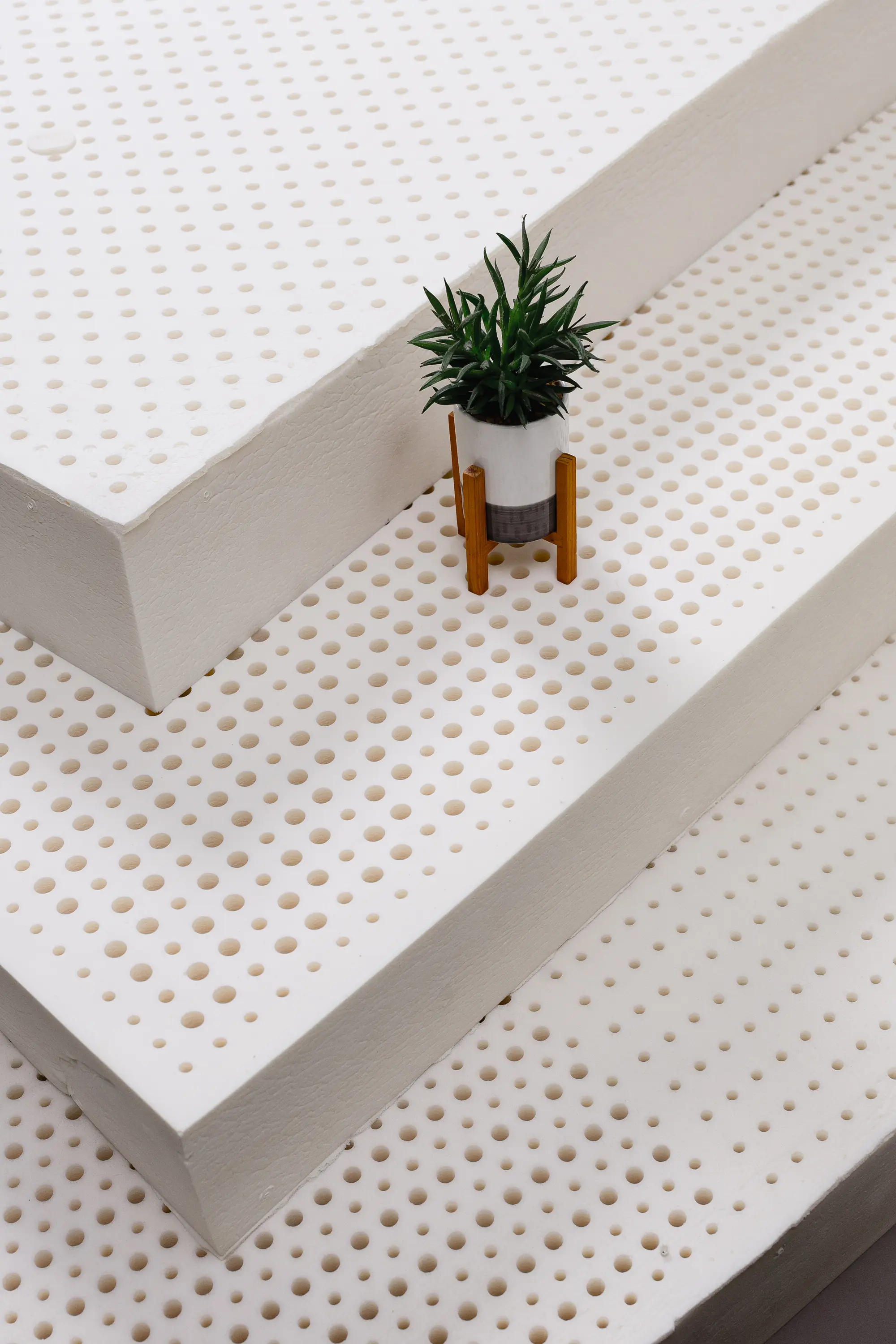 Close-up of a natural latex block with a small plant beside it for scale